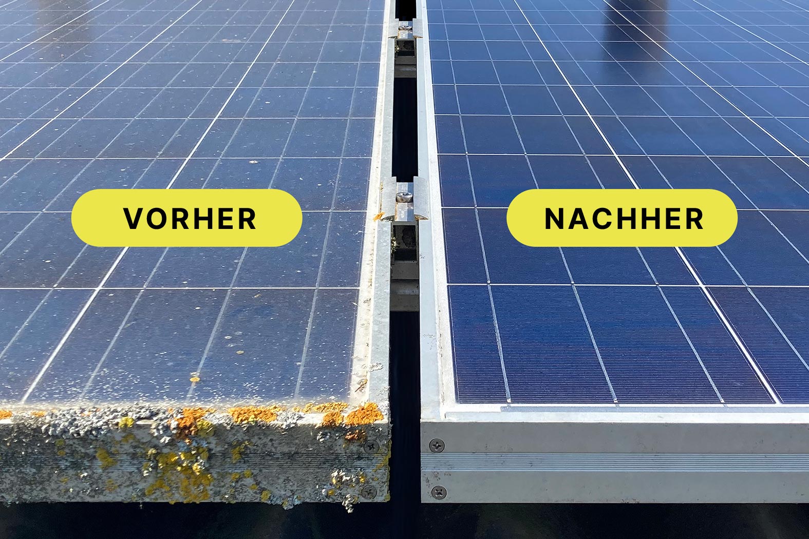 Photovoltaik-Reinigung Windisch  Ihr Spezialist für PV Reinigung